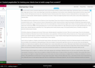Elementor text module to full screen button